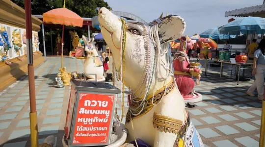 巨大なピンクガネーシャ「ワット・サマーンラッタナーラーム」_ネズミ